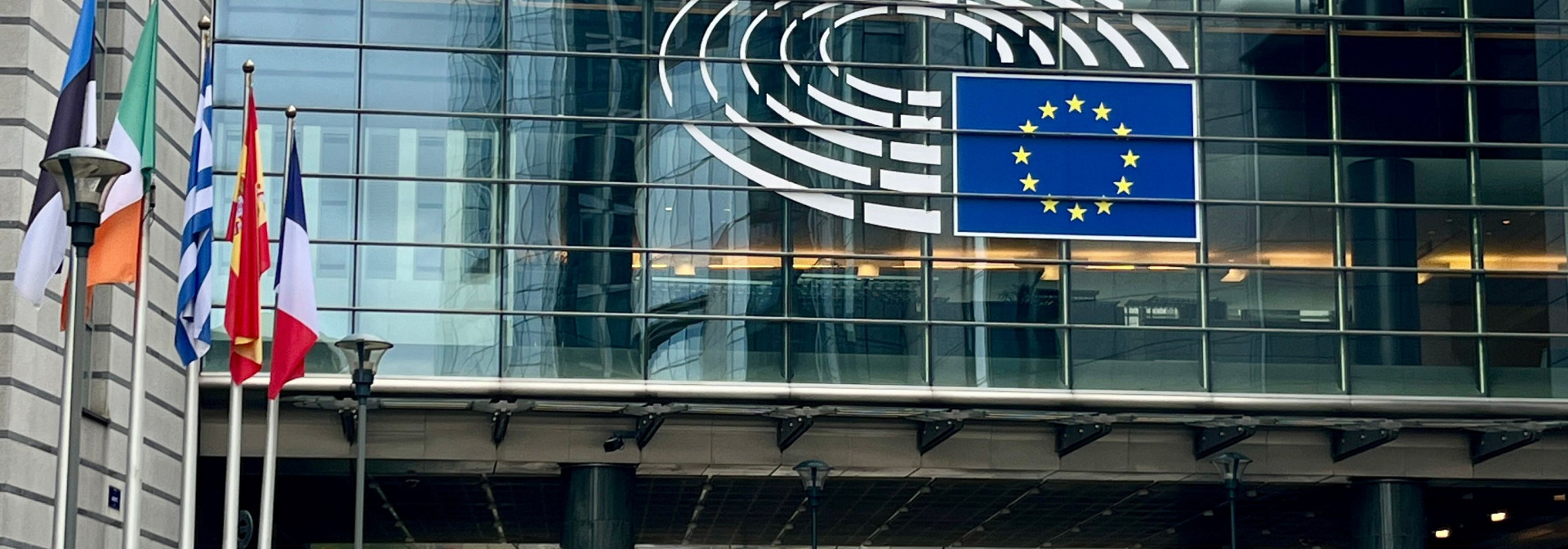 Exterior view of the European Parliament in Brussels with EU flags displayed.