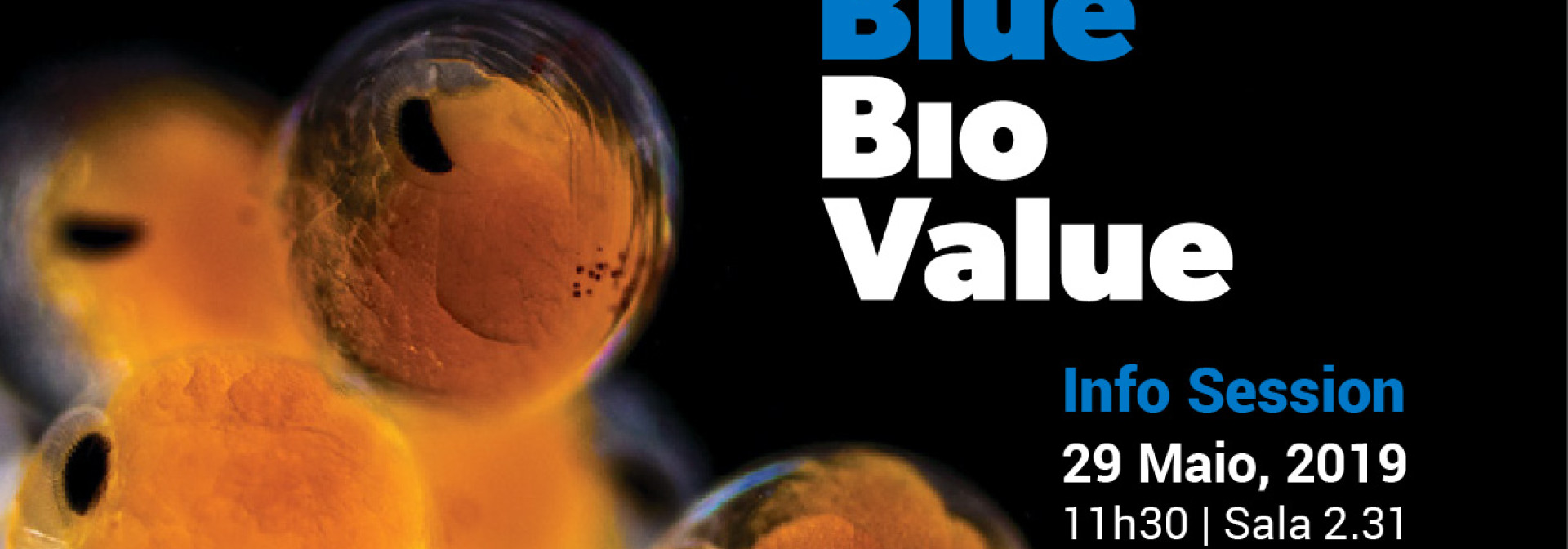 Generic representation of Blue Bio Value - Info Session