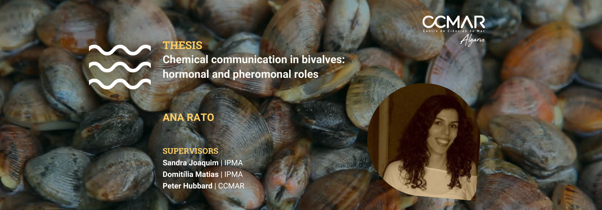 Ana Rato PhD presentation