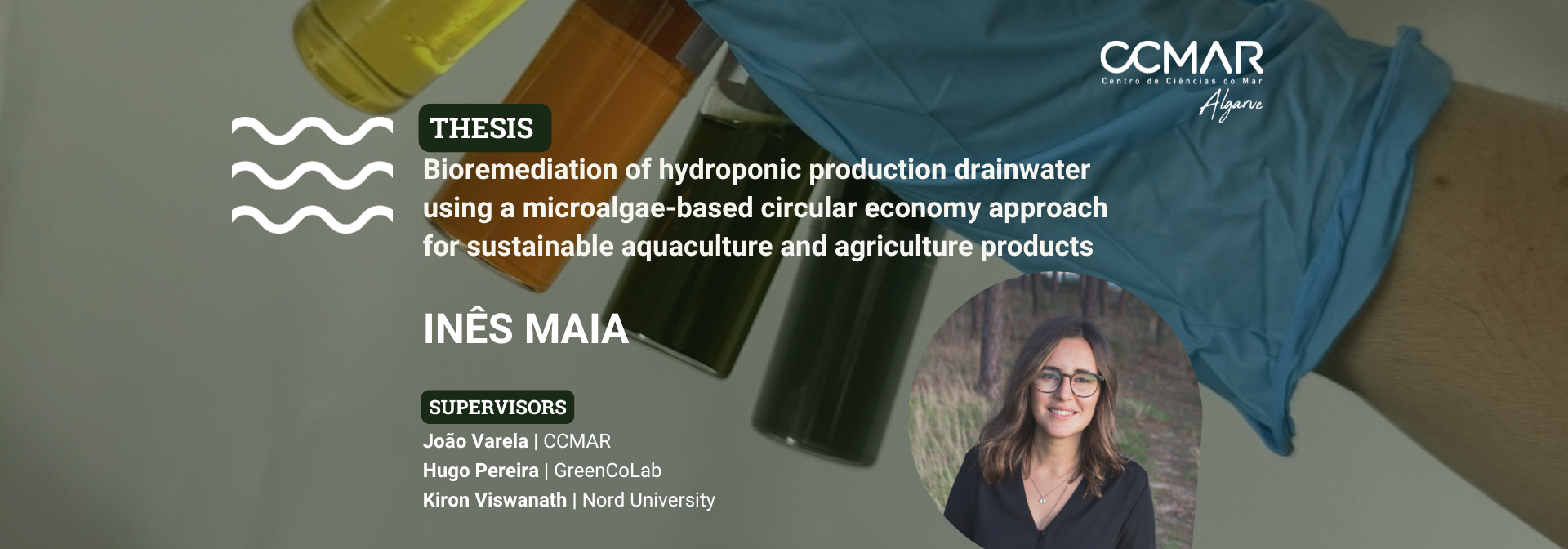 PhD Thesis Presentation Ines Maia