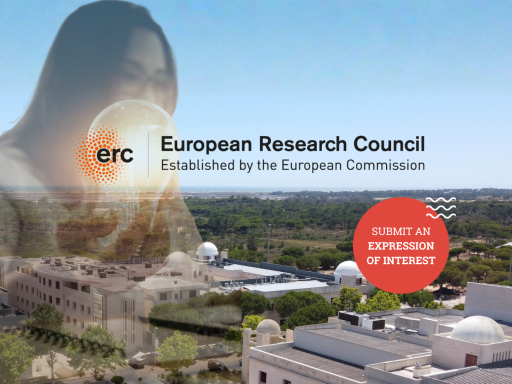 ERC Call for interests