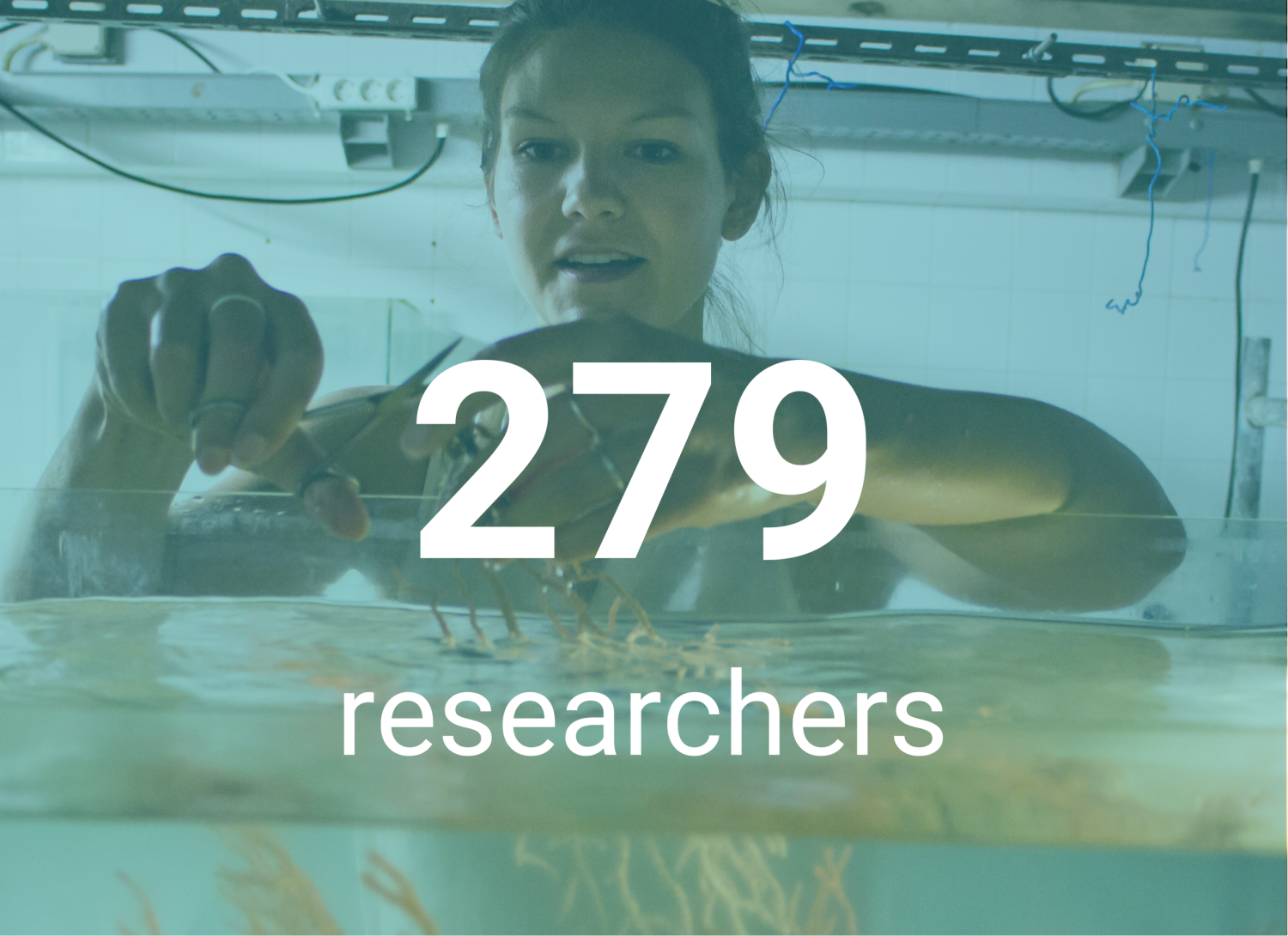 CCMAR Metricas 2024_Investigadores