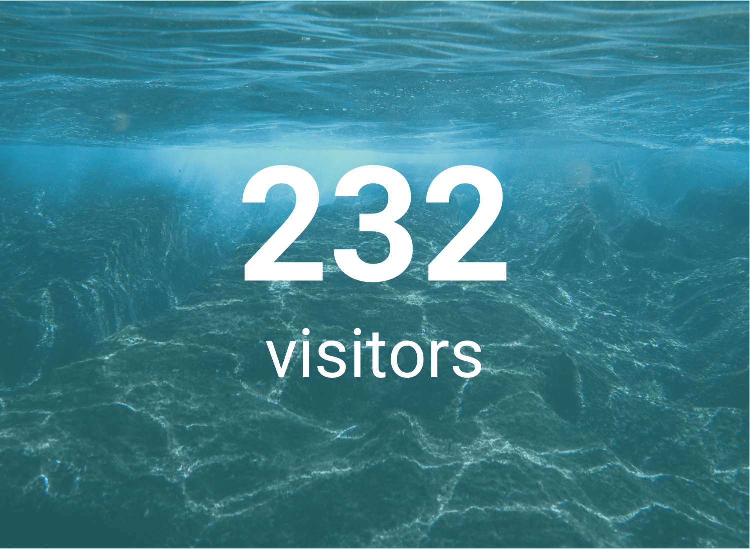 CCMAR Metricas 2024_visitantes