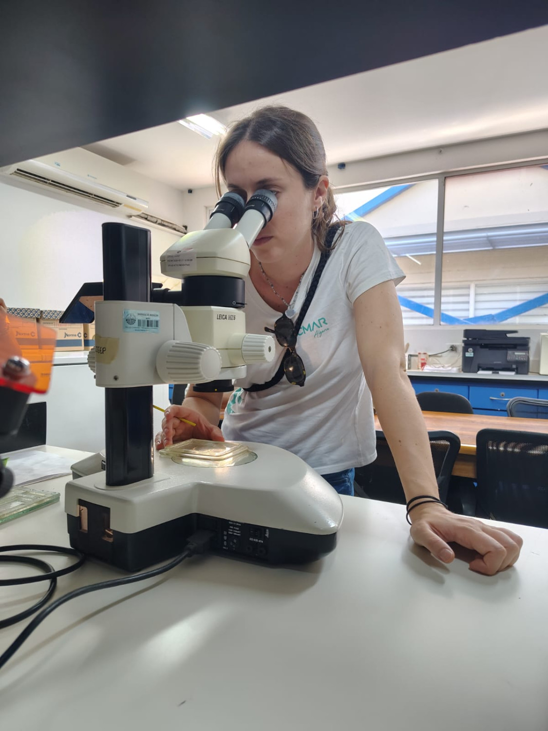 giulia lab