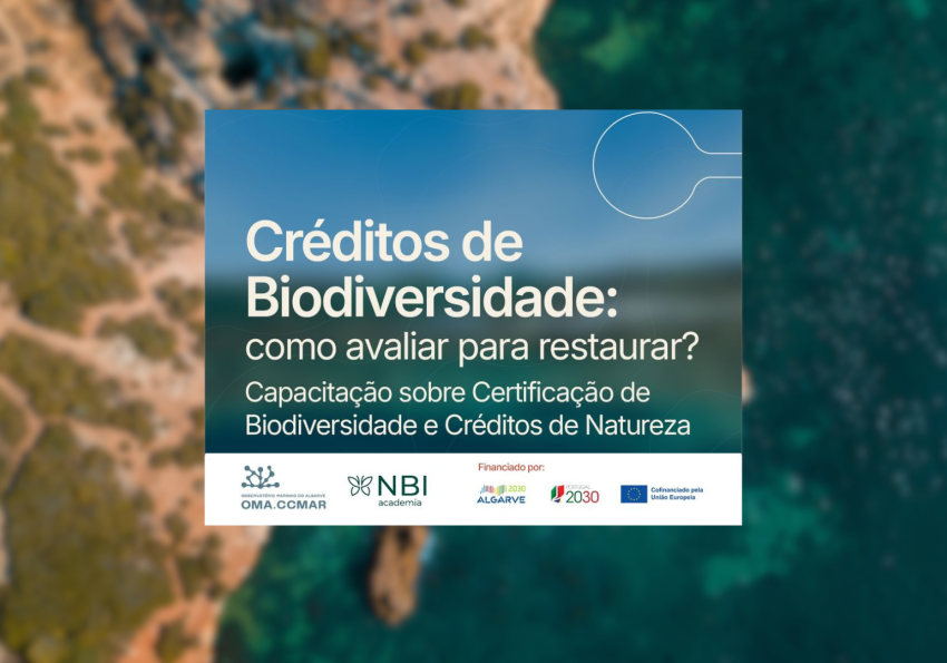 OMA Sessão Capacitação 9 dzembro