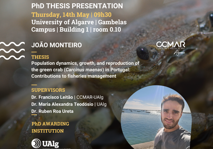 JoãoMonteiro_thesisPhD