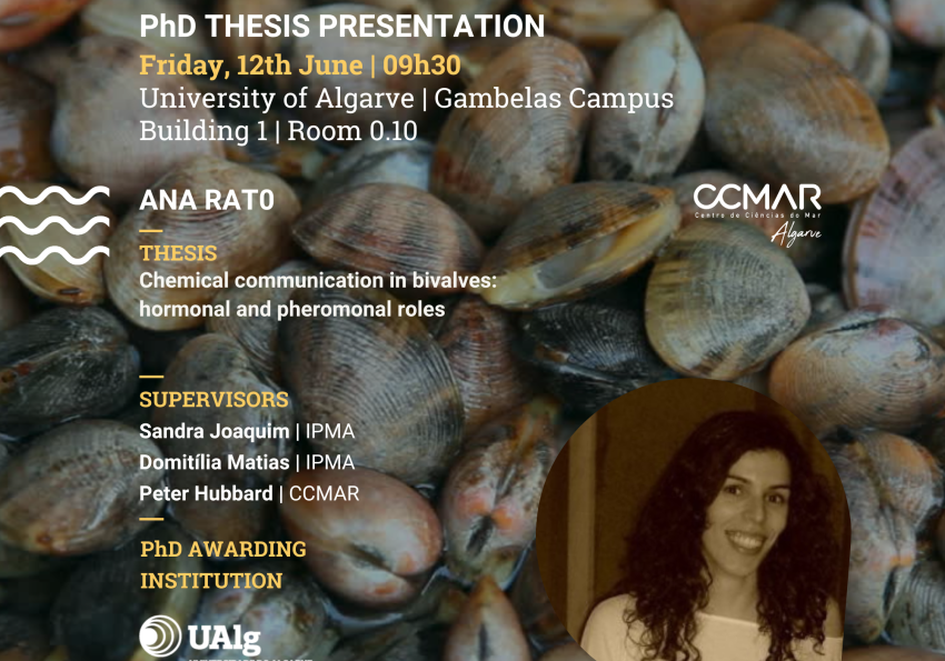 Ana Rato PhD presentation