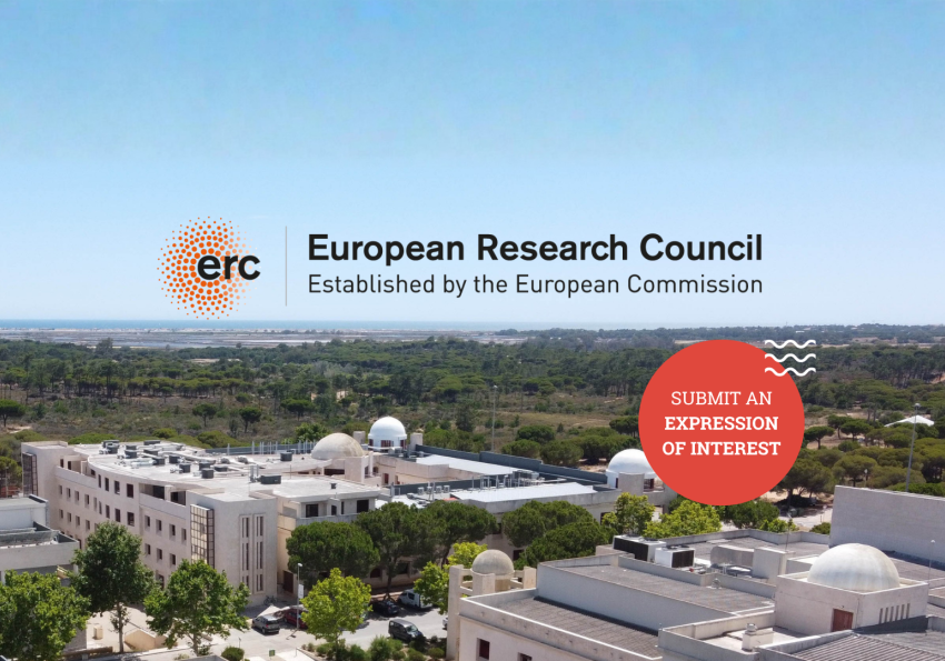 ERC Call for interests