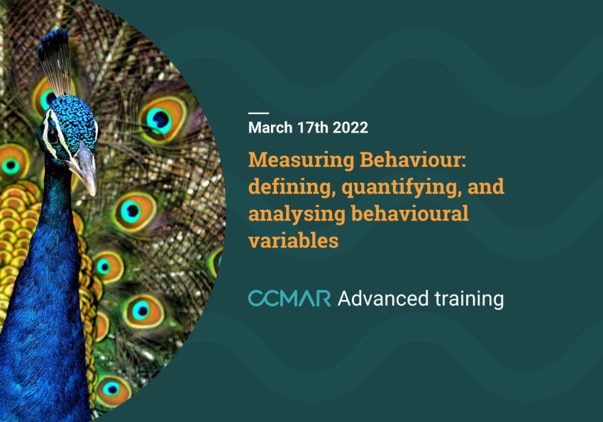 MEASURING BEHAVIOUR: defining, quantifying and analysing behavioural ...