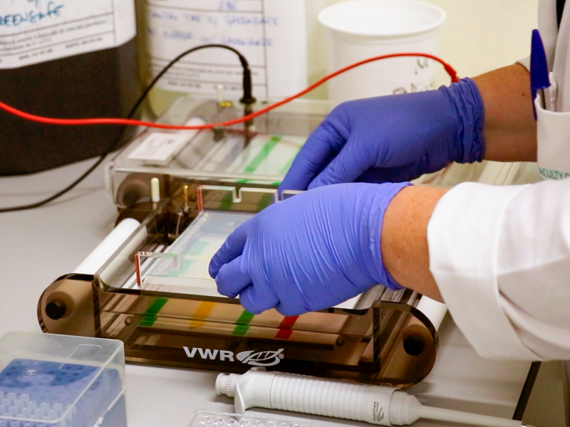 molecular biology equipment