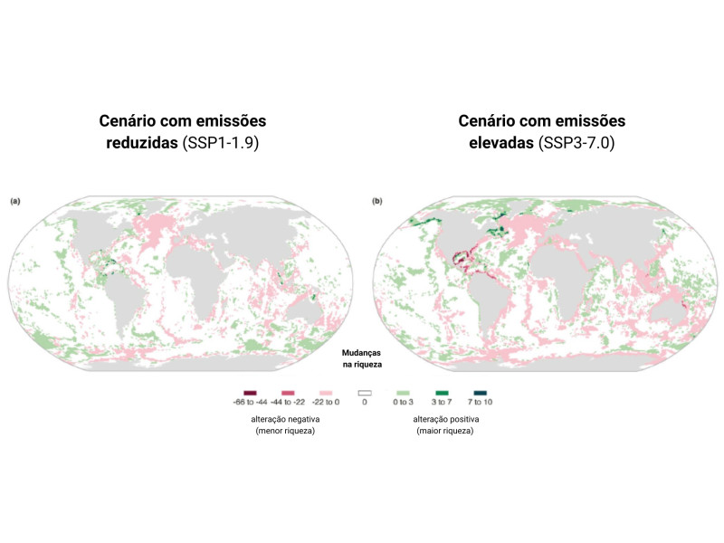Mudanças na riqueza: perda ou ganho de novas espécies num determinado local