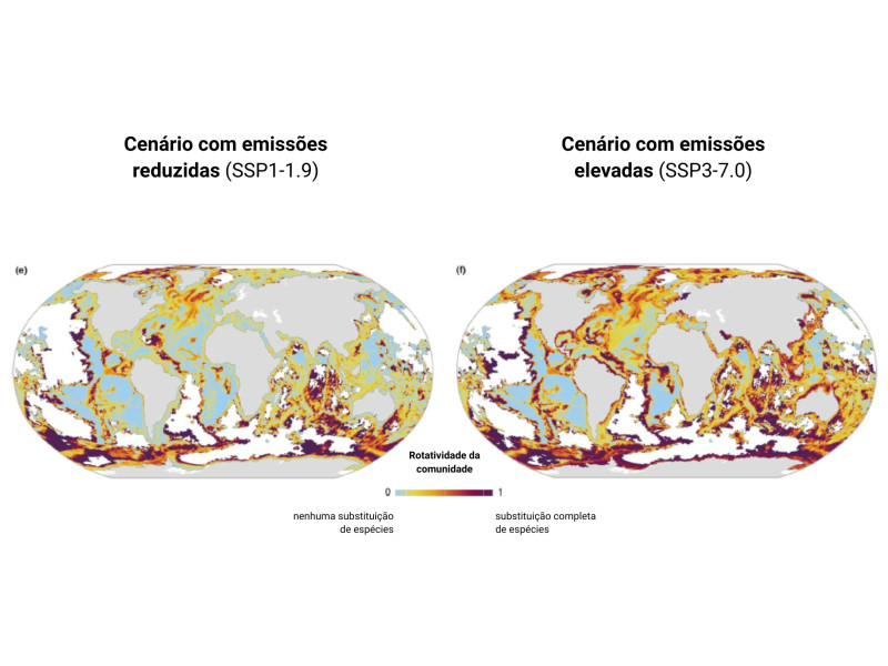 Rotatividade da comunidade: Representação de espécies extintas face às espécies novas