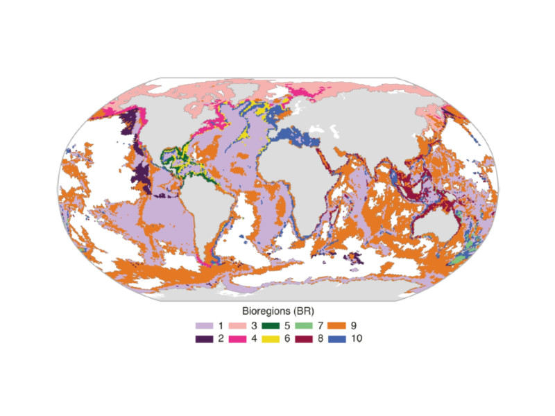 10 bioregiões identificadas, 2025