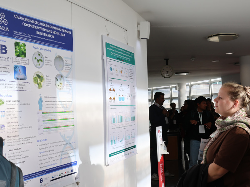 ENAQUA 25 Poster Session
