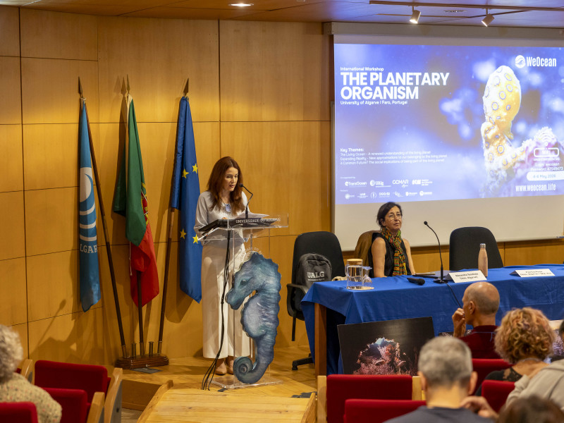 WeOcean Workshop