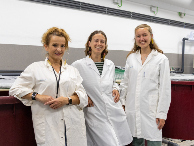 Leila Kopplin and Axelle de Boeck working under the supervision of Zélia Velez