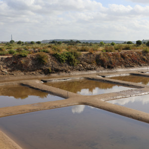 salinas de castro marim
